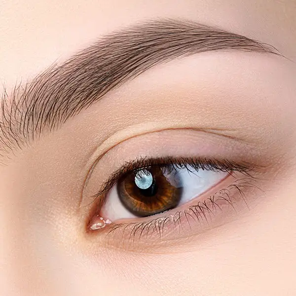 Exploring the Allure of the 2016 Brow